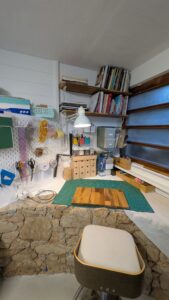 PXL_20251104_155531405.MP